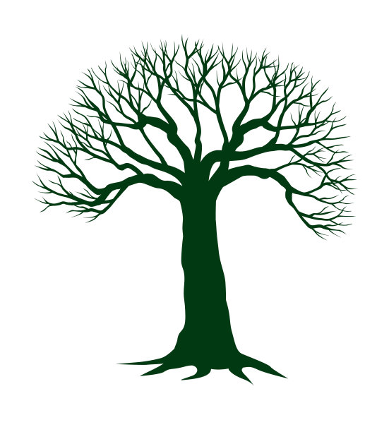 有根的绿树。矢量插图轮廓。植物在花园。图片下载