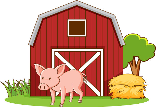 可爱的猪站在农场的院子里图片下载