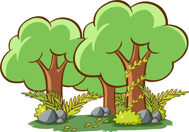 森林背景中有许多大树图片下载