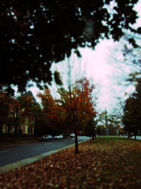 秋天的美图片下载