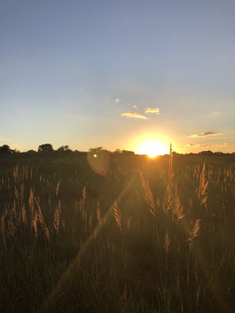 孤独的日落图片下载