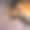 中秋节照片素材ID：383417736