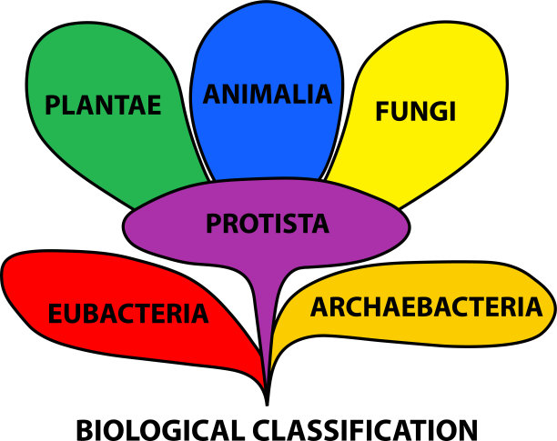 生物分类图片下载