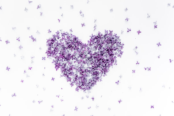 紫色丁香花组成的心形图案情人节背景，扁平风格，俯视角度图片下载
