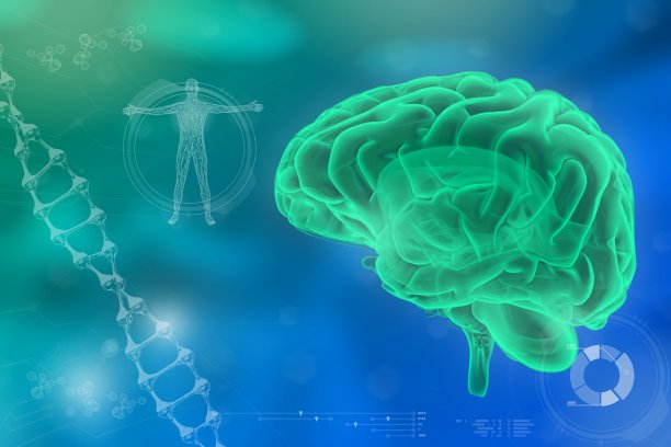医学3D插图-人脑，神经学研究概念-高度详细的高科技纹理图片下载