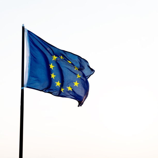 欧盟旗帜迎风飘扬图片下载
