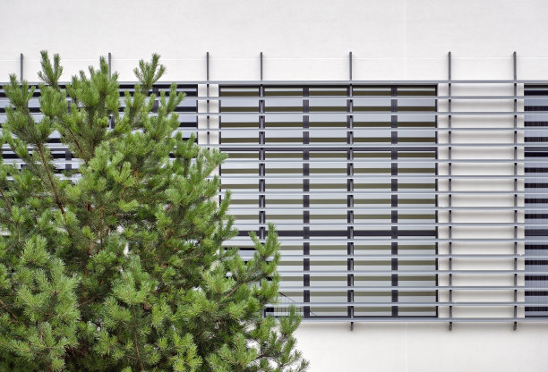 以松树为前景的抽象现代建筑细节图片下载