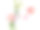 Spa flatlay组成。海盐缸，毛巾，白底花。前视图。日常护理理念，放松休息，沐浴程序图片下载