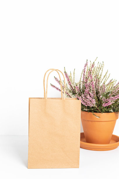 模型与工艺纸袋。模板为小企业品牌，礼品，礼品。本空间图片下载