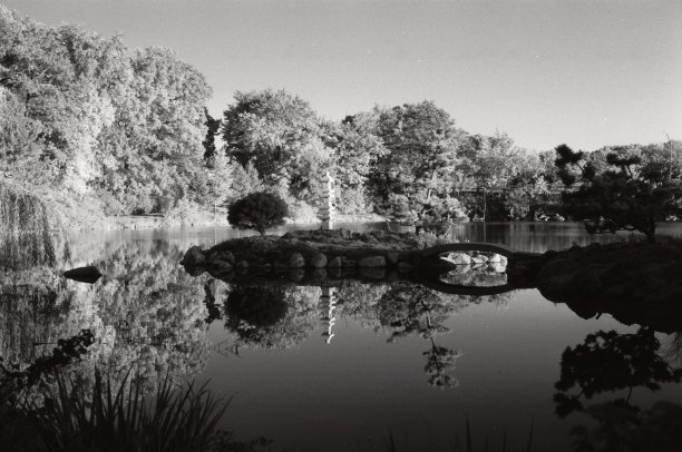 带有倒影池塘的日式花园图片下载