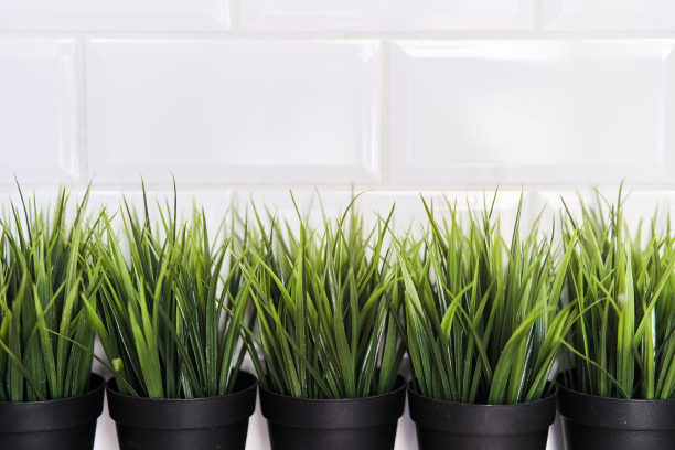 在白色砖块的背景上，黑色塑料盆里的人造绿草图片下载