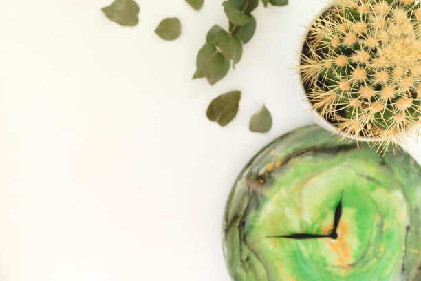 锁树脂艺术与蓖麻和桉树在白色。平躺，俯视图图片下载