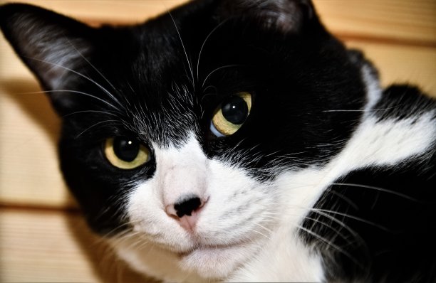 生活的事情图片下载