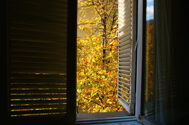 秋天有木制百叶窗的旧窗户。秋天的树叶在夕阳的照射下闪闪发光图片下载