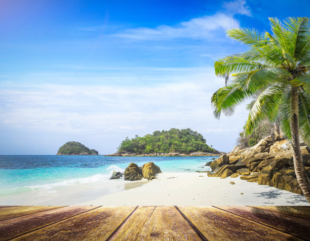 暑假的概念图片下载