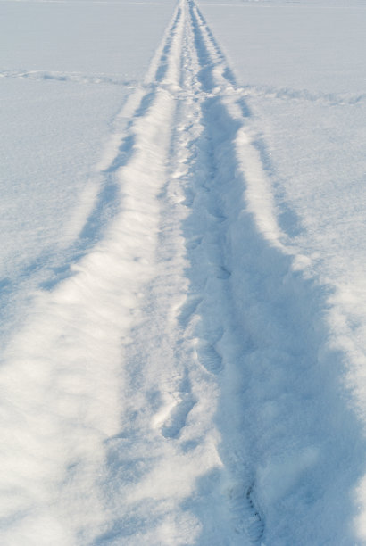 冬天雪地上留下的脚印图片下载