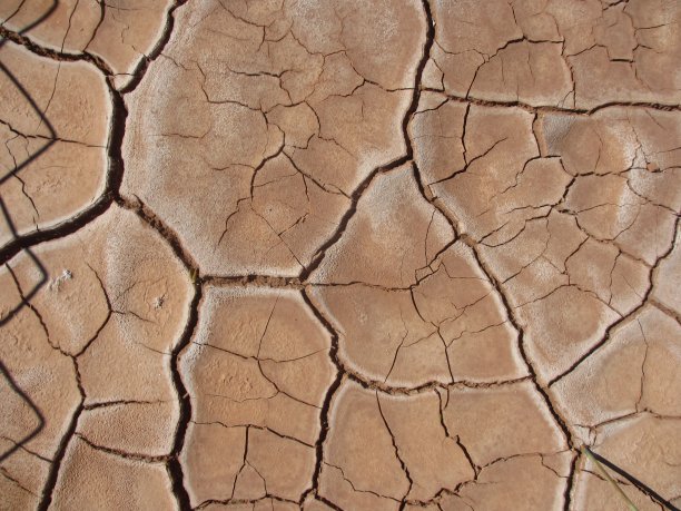 土壤干燥开裂图片下载