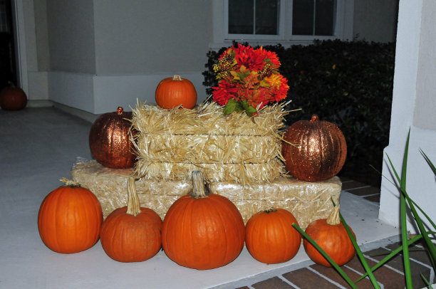 南瓜和干草包-装饰-希尔顿海德，南卡罗来纳州图片下载