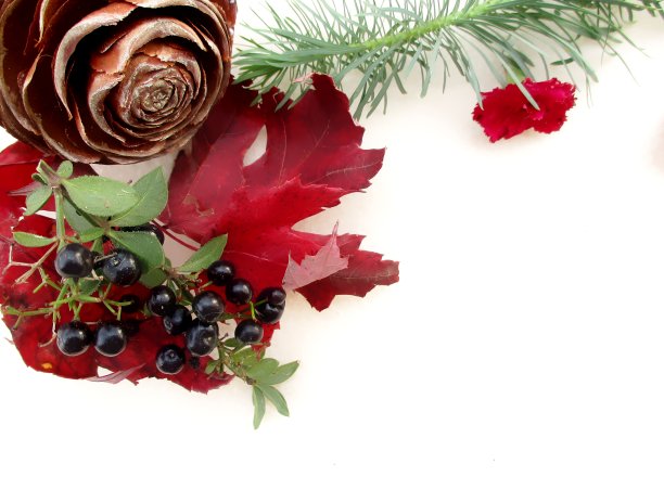 植物中的圣诞卡片图片下载