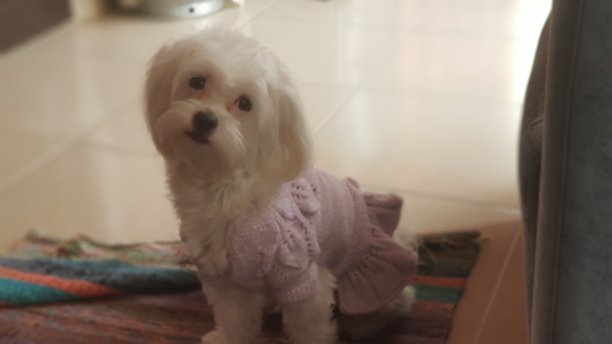 马耳他特勒图片下载