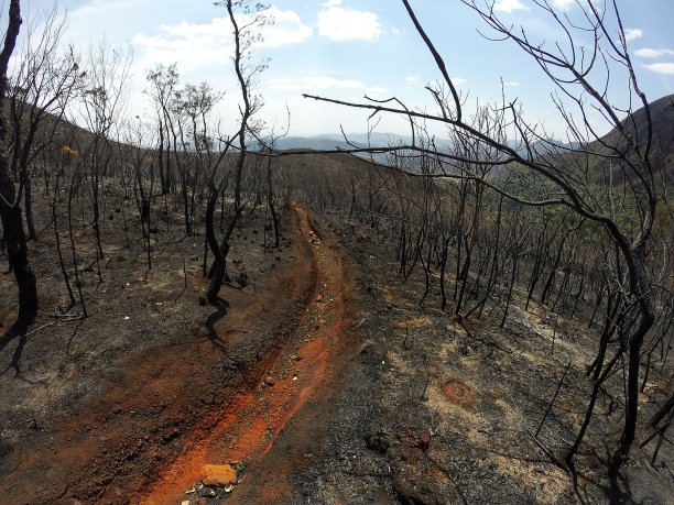 在塞拉·达·莫达被烧死了图片下载