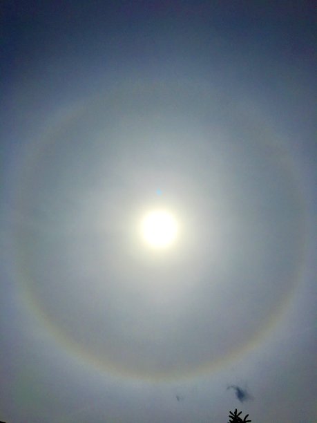 孙你好图片下载