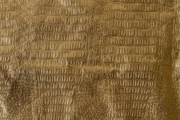 背景金色，水平，纺织，蛇皮图案图片下载