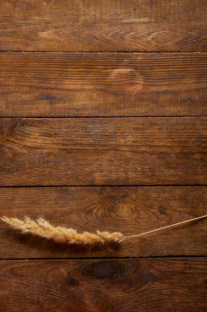 极简主义风格的干花躺在棕色的木制自然背景上图片下载