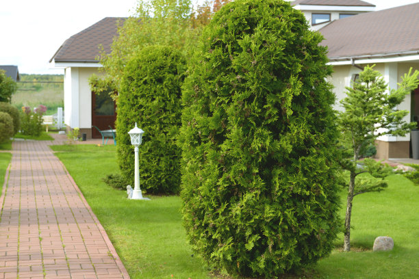 美丽的乡村别墅和花园图片下载