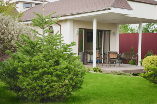 美丽的乡村别墅和花园图片下载