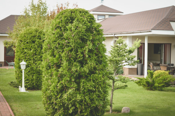 美丽的乡村别墅和花园图片下载