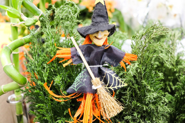 万圣节女巫图片下载