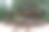 废弃的景点，普里皮亚季，切尔诺贝利禁区图片下载