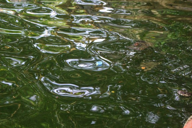 水自然图片下载