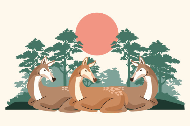 野生小鹿动物在丛林中的场景图片下载