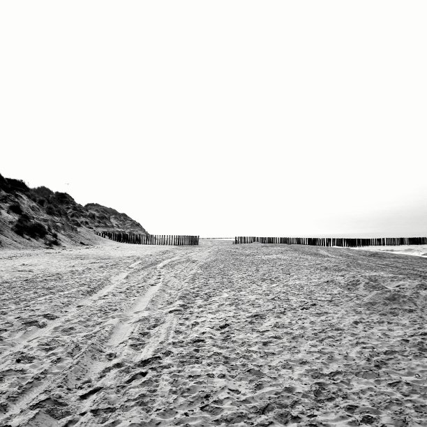 空的海滩图片下载