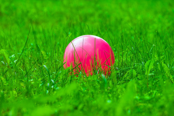 一个亮粉色和紫色的球躺在绿色的草地上图片下载
