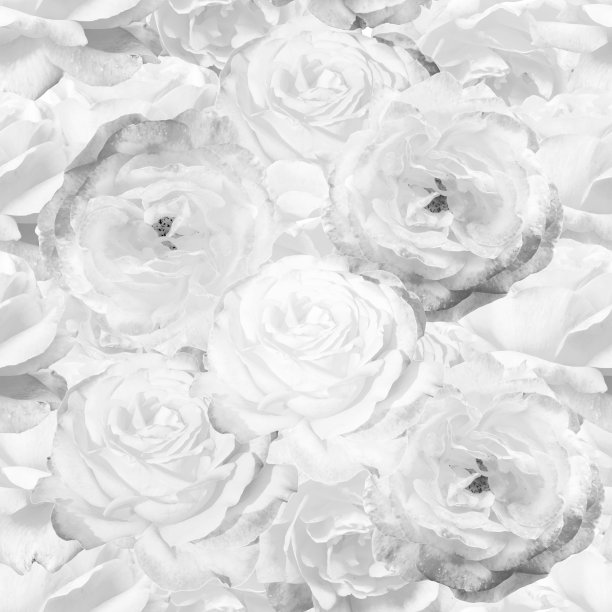 白色单色无缝背景图片下载