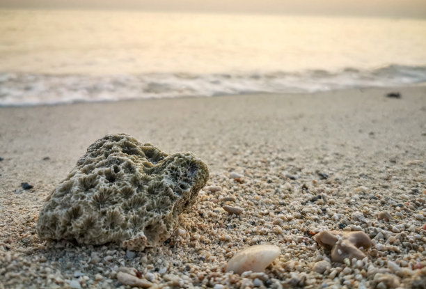 卡塔尔法国海滩美丽日出与海螺背景图片图片下载