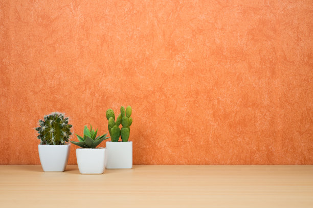 陶土背景上的仙人掌和多肉植物(人工)图片下载