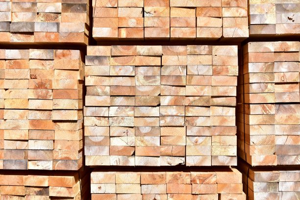 松树砍伐木材背景。木材纹理与阳光。图片下载