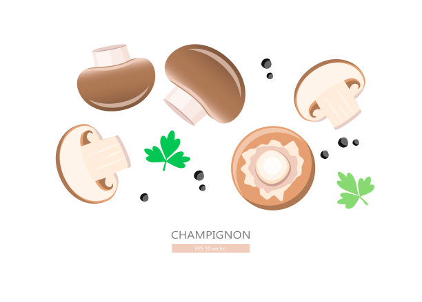 蘑菇蘑菇图片下载