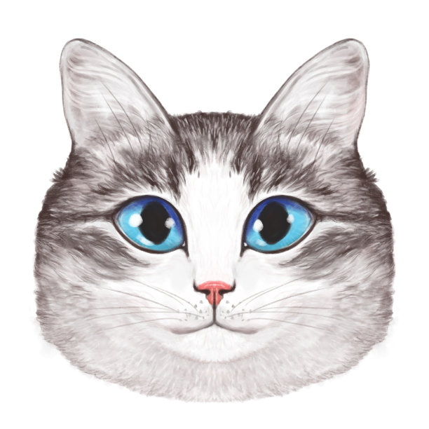 插图的一个可爱的轻虎斑猫。猫愉快的灯光迷人的肖像。一只蓝眼睛的猫直视前方。猫头图片下载