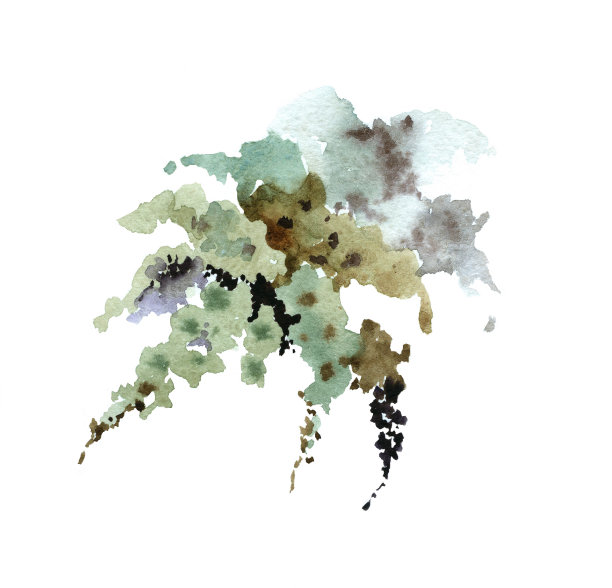 水彩秋天干灰绿草白色插图。图片下载