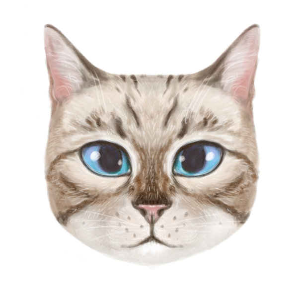 插图的一个可爱的轻虎斑猫。猫愉快的灯光迷人的肖像。图片下载