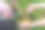美味烧烤。烤蔬菜——玉米、芦笋配培根和意大利熏火腿。男人和女人一起做饭。在女人的手锅烧烤。共同的生活方式。图片下载