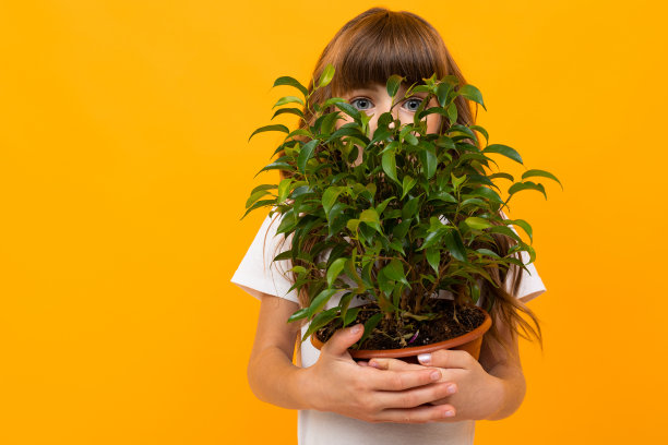 一个女孩在黄色的背景上，手里拿着一个花盆中的一朵花图片下载