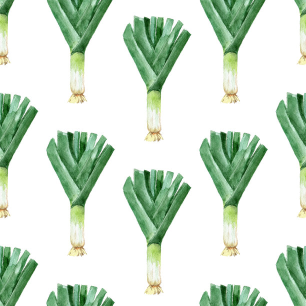 韭菜无缝模式图片下载