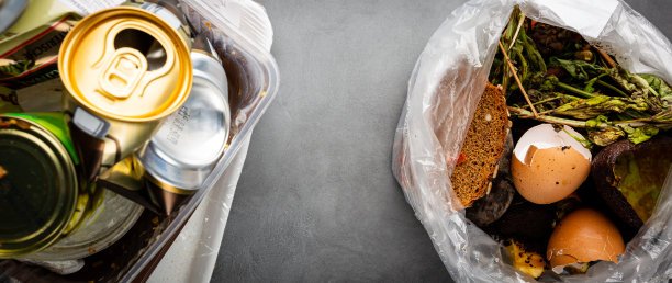 有机食品浪费图片下载