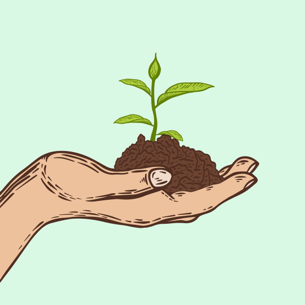在土壤上种植植物手工绘制图片下载
